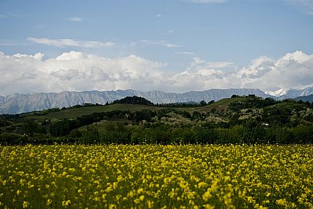 Fontanabona